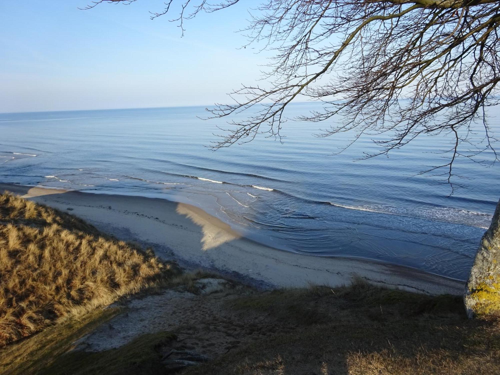 Solrosen I Simrishamn - Oesterlen Ngoại thất bức ảnh