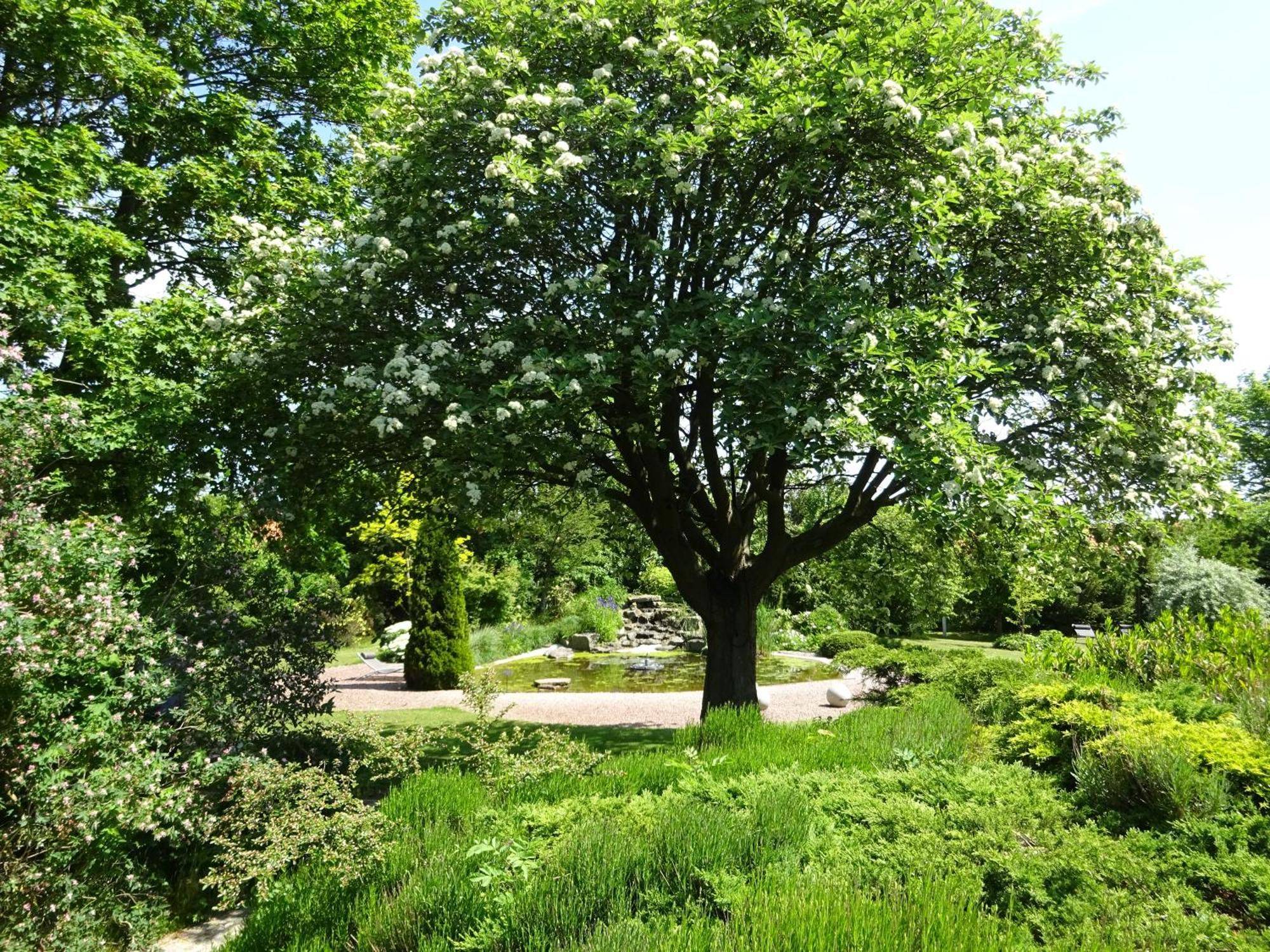 Solrosen I Simrishamn - Oesterlen Ngoại thất bức ảnh
