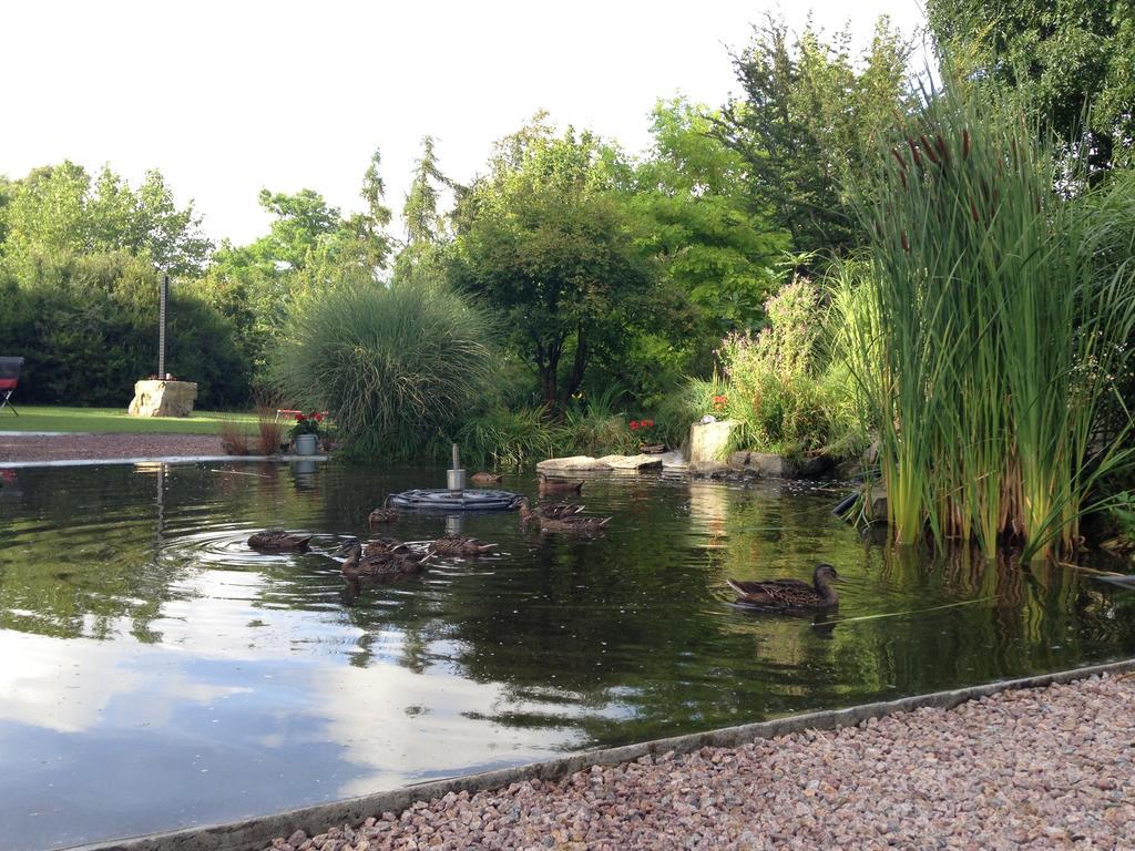 Solrosen I Simrishamn - Oesterlen Ngoại thất bức ảnh