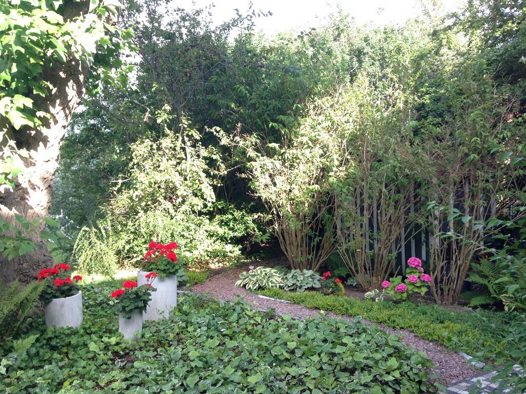 Solrosen I Simrishamn - Oesterlen Ngoại thất bức ảnh