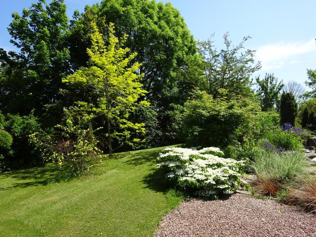 Solrosen I Simrishamn - Oesterlen Ngoại thất bức ảnh